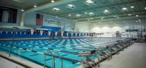 Southern Illinois University Sends Swimmers to NCAA Championships