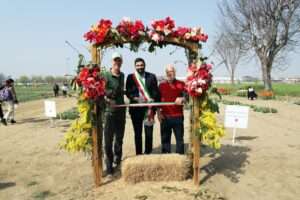 Tulip Mania Hits Grugliasco Italian Tulips Colorful Extravaganza Blooms Again Featured