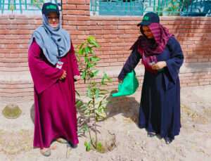 Digital (Only) - Mobilink Bank carries out nationwide plantation drive
