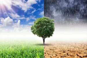 Experts Convene to define Climate Resilient Water Governance Models in Pakistan