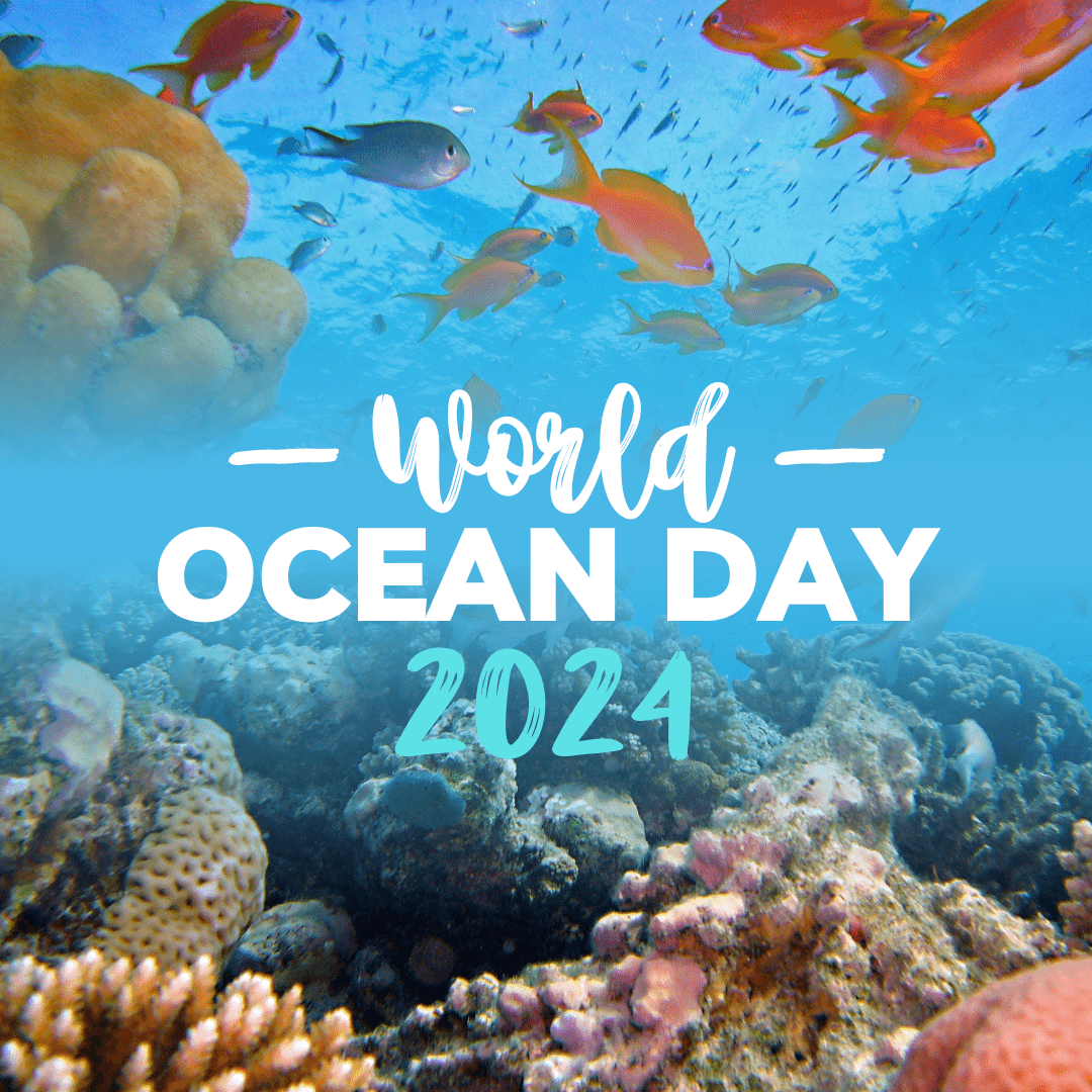 World Oceans Day