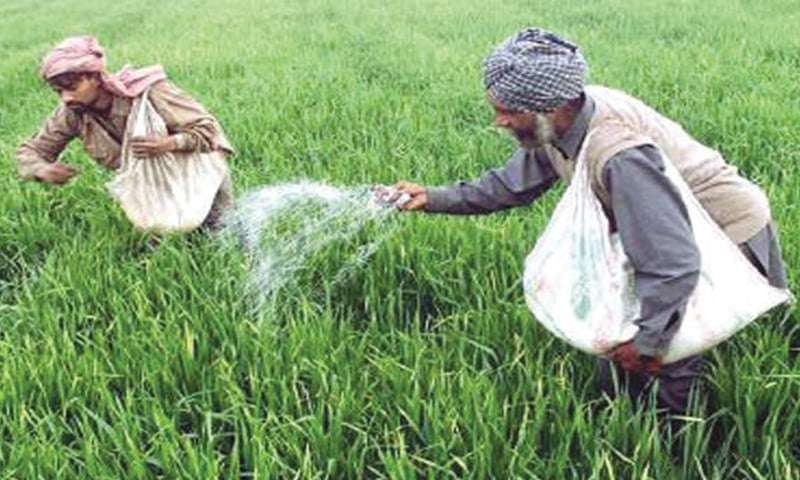 Cross-subsidy to fertilizer sector to damage economy.