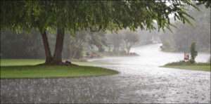 Monsoon Rain Forecasted for Karachi and Sindh, Bracing for Wet Weather.
