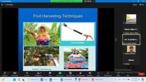 fruit-harvesting-webinar-270624-2