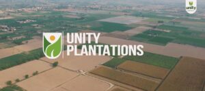 unity foods 2 (1)