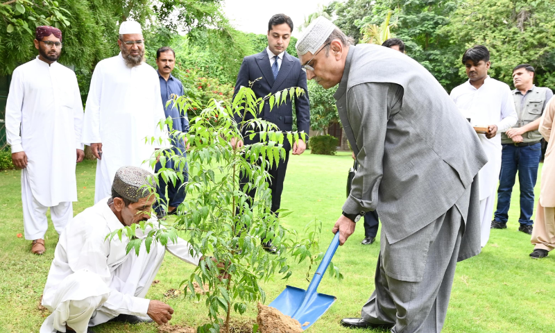 President Zardari Encourages Tree Planting to Combat Climate Change