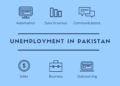 Addressing the Alarming Issue of Youth Unemployment in Pakistan.