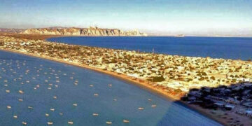 Balochistan needs special attention of govt: Qurat ul Ain, FPCCI.