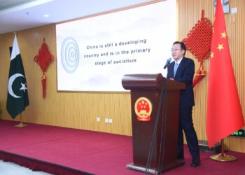 China role in global development