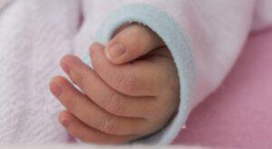 baby-768x422-1-750x412