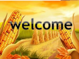 mfc-16025maize-201225083455-thumbnail