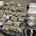 ANF seizes over 49 kg drugs