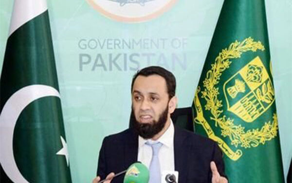 Nobody will be allowed to disturb country’s peace: Tarar