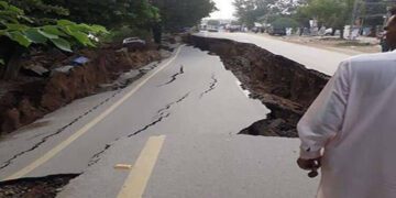 Punjab shaken by 4.8 magnitude earthquake, causing distress in major cities