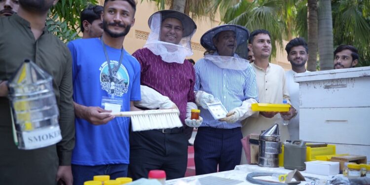 Green skills for growth: Dawood Global Foundation & UNDP empower over 1,000 youth in Sindh