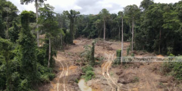 Government Agencies at War Over Illegal Mining on Protected Forest Land in Abbottabad. 