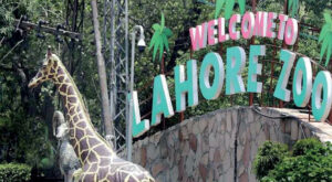 Lahore-Zoo