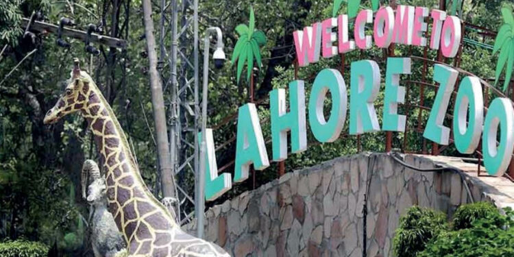 Lahore Zoo Auctions Facilities in Record Rs500 Million Deal
