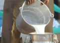 Only 2 Billion Liters of Pakistan’s 30 Billion Liters of Milk Meet International Standards