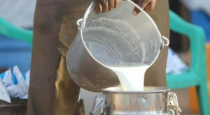 Milk-price