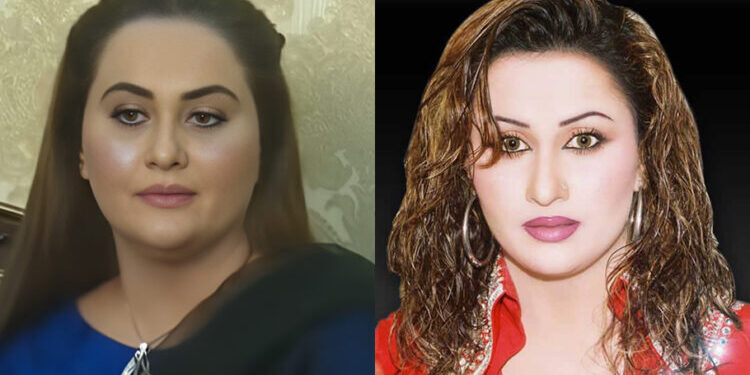 Actress Nargis’s domestic violence case: Court extends interim bail for accused