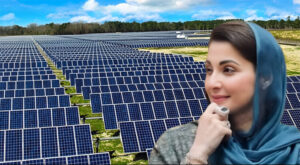 Punjab-launches-free-solar-panel-scheme-750x412