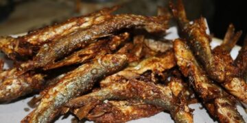 PFA checks 1,529 fish frying points, fines over Rs 3.8m across Punjab