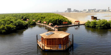 The Establishment of an Independent Advisory Board for the Mangrove Biodiversity Park (MBP)