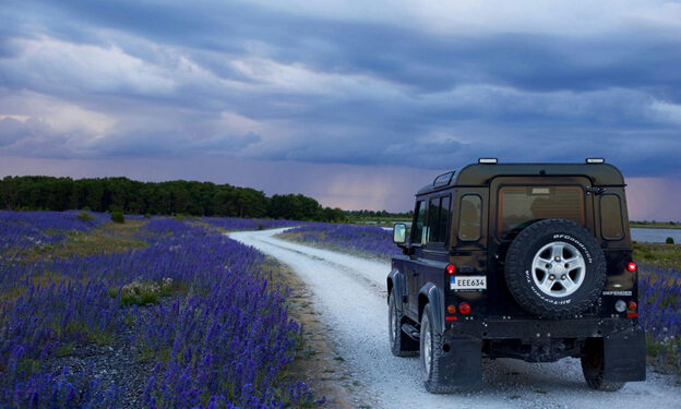 Smell the Journey: The Hidden Power of Aromas in Your Car