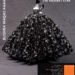 A solo show of Bushra Waqas Khan The Radiant Star opens on Tuesday January 7th 2025