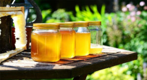 Honey-750x412