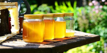 KP government to initiate measures to boost the honey industry