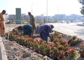 WALTON ROAD REVAMP IN FINAL STAGES, SAYS CBD PUNJAB