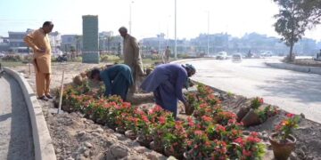 WALTON ROAD REVAMP IN FINAL STAGES, SAYS CBD PUNJAB