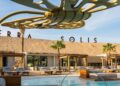Events to Check out this February in Dubai