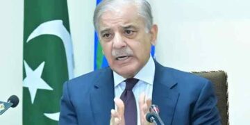 PM Shehbaz sounds alarm on state-owned entities losing Rs850bn annually