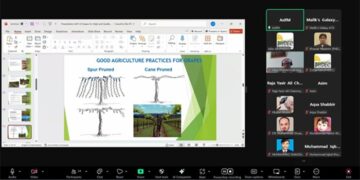 PHDEC and FAO Balochistan Collaborate to Host Webinar on ‘Grapes Orchard Management for High Yield and Good Quality’