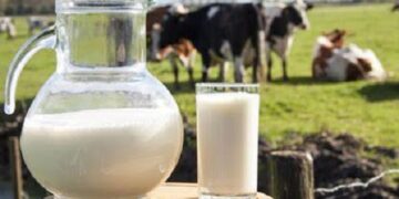 CAT Resumes Hearings, Dismisses Appeal of Dairy Farmer Association Karachi