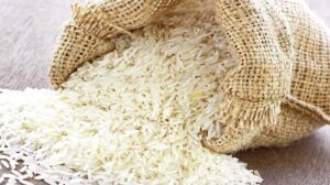 pakistan-earns-dollar-4-bn-in-rice-exports-in-2024-1728802819-7017