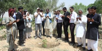 SABS UNIVERSITY JAMSHORO LAUNCHES PLANTATION DRIVE IN COLLABORATION WITH ALLIED BANK LIMITED