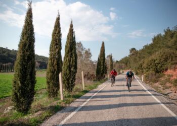 60th Presidential Cycling Tour of Türkiye Showcases Scenic Routes on Global Stage
