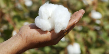 Cotton imports are a shocking turn for the cotton-exporting nation.