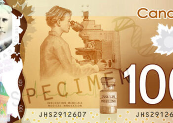 Canadian Dollar Holds Steady at 201.55 PKR – Relief Amid Global Uncertainty