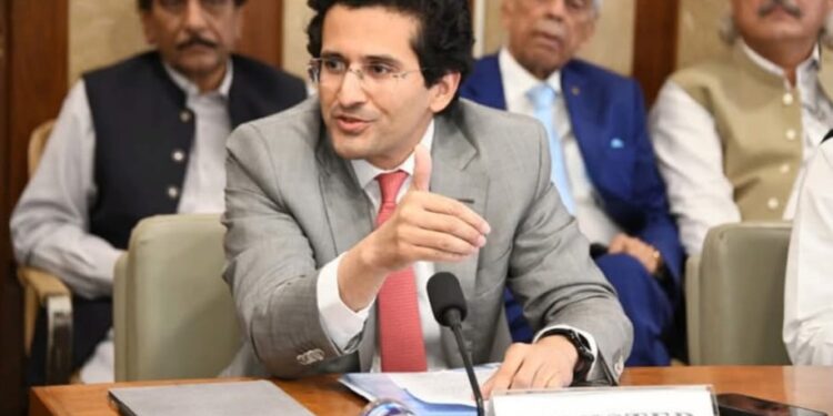 Resolving Petroleum Dealers’ Issues Is a Government Priority – Ali Pervaiz Malik