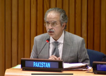 Pakistan Urges Global Action at Peace Conference to End Israeli Occupation and Realize Two-State Solution