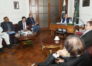 PM Shehbaz Urges Swift Finalisation of Electric Vehicles Policy 2025