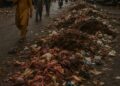 Faith and Filth: Karachi’s Post-Eid-ul-Adha Sanitation Crisis