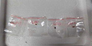 Two Chinese Researchers Accused of Smuggling Fungus Deemed ‘Potential Agroterrorism Weapon’ into U.S.