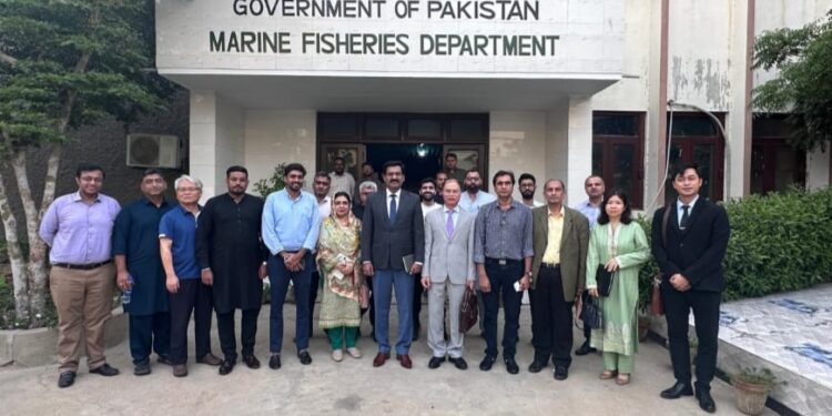 Pakistan’s seafood exports to Vietnam rise 20%, reaching $9 million