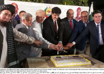 Increased Trade Ties Between Pakistan and Mozambique Will Benefit Both Economies – Chief Minister Sindh.